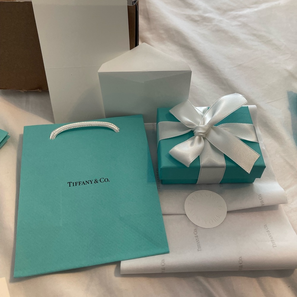 COPY - COPY - Brand new in box authentic TIffany & Co. pendant and 18 inch chain
